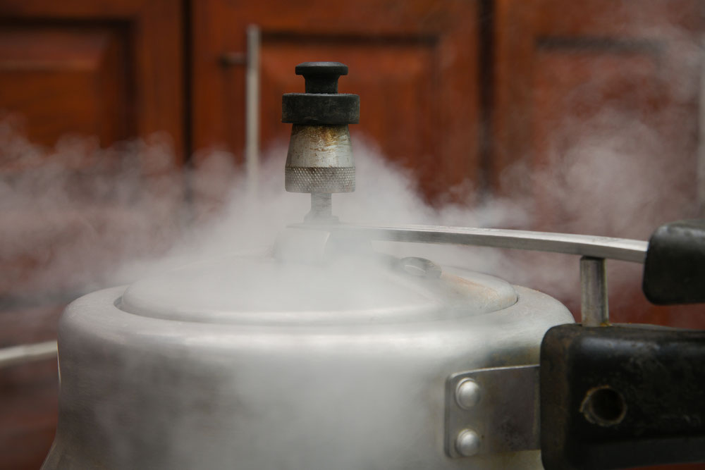 Reasons to appoint a pressure cooker in the kitchen