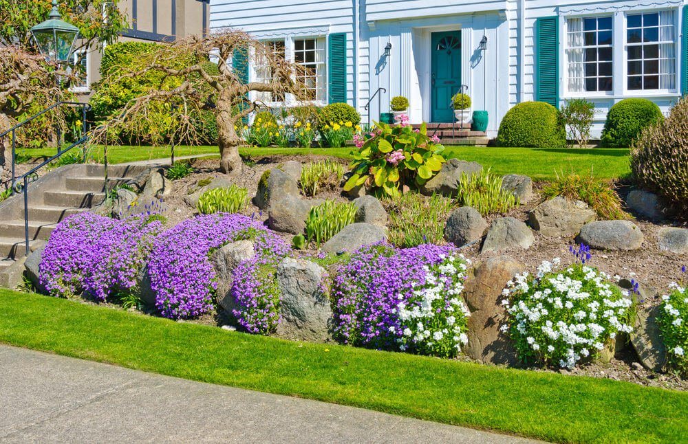 Helpful guide to buy plants at online www.gardenbeauty.co.uk