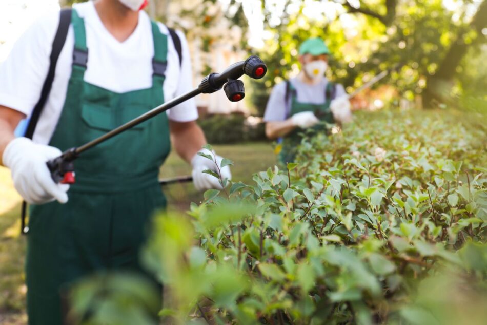 commercial pest control cook county