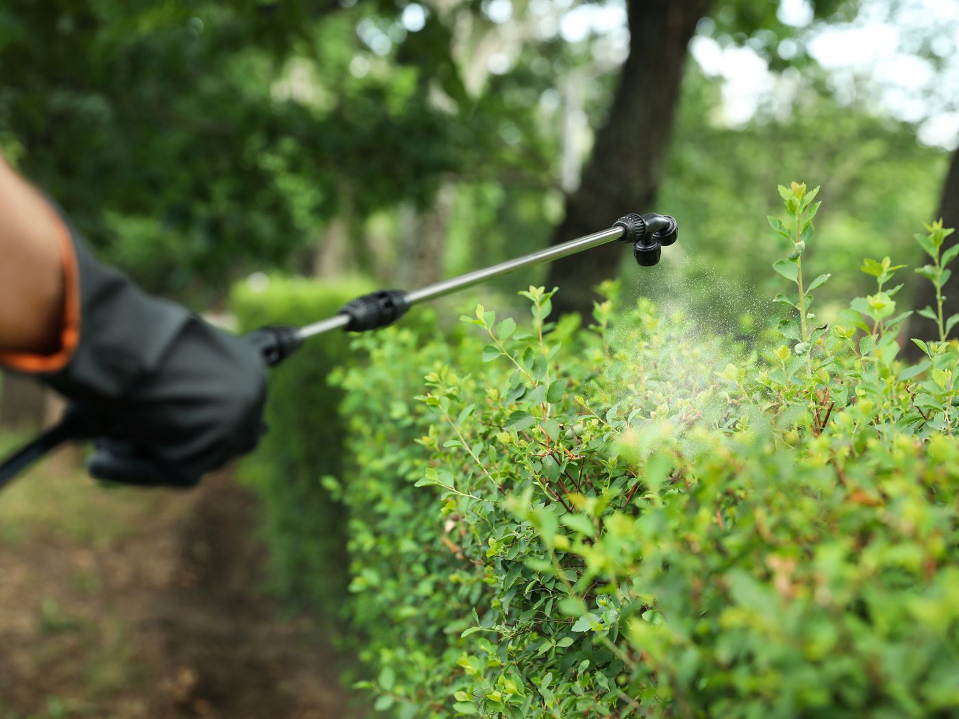 commercial pest control cook county