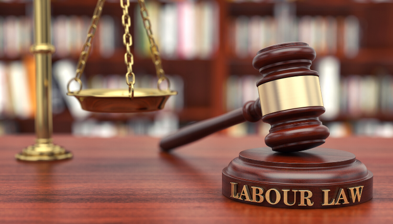 labor law covers three main forces to guide the labor sector