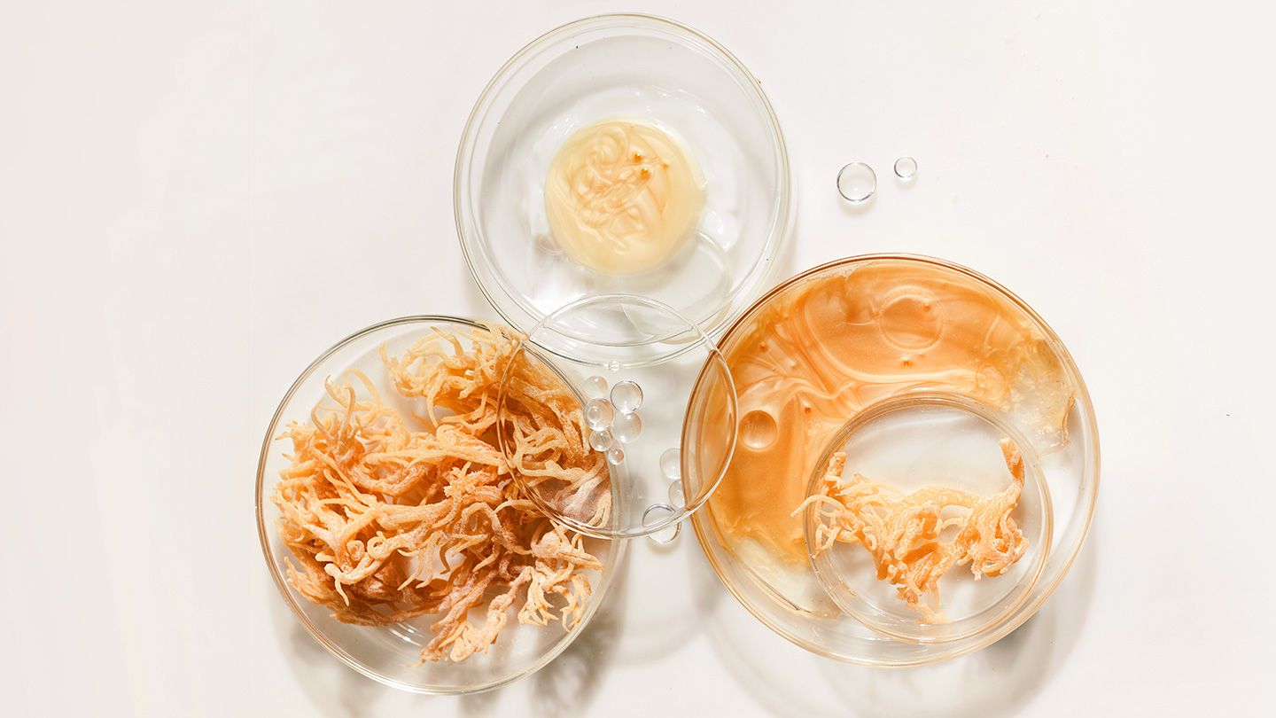 Can Sea Moss Aid with Weight Loss? Sea Moss Australia