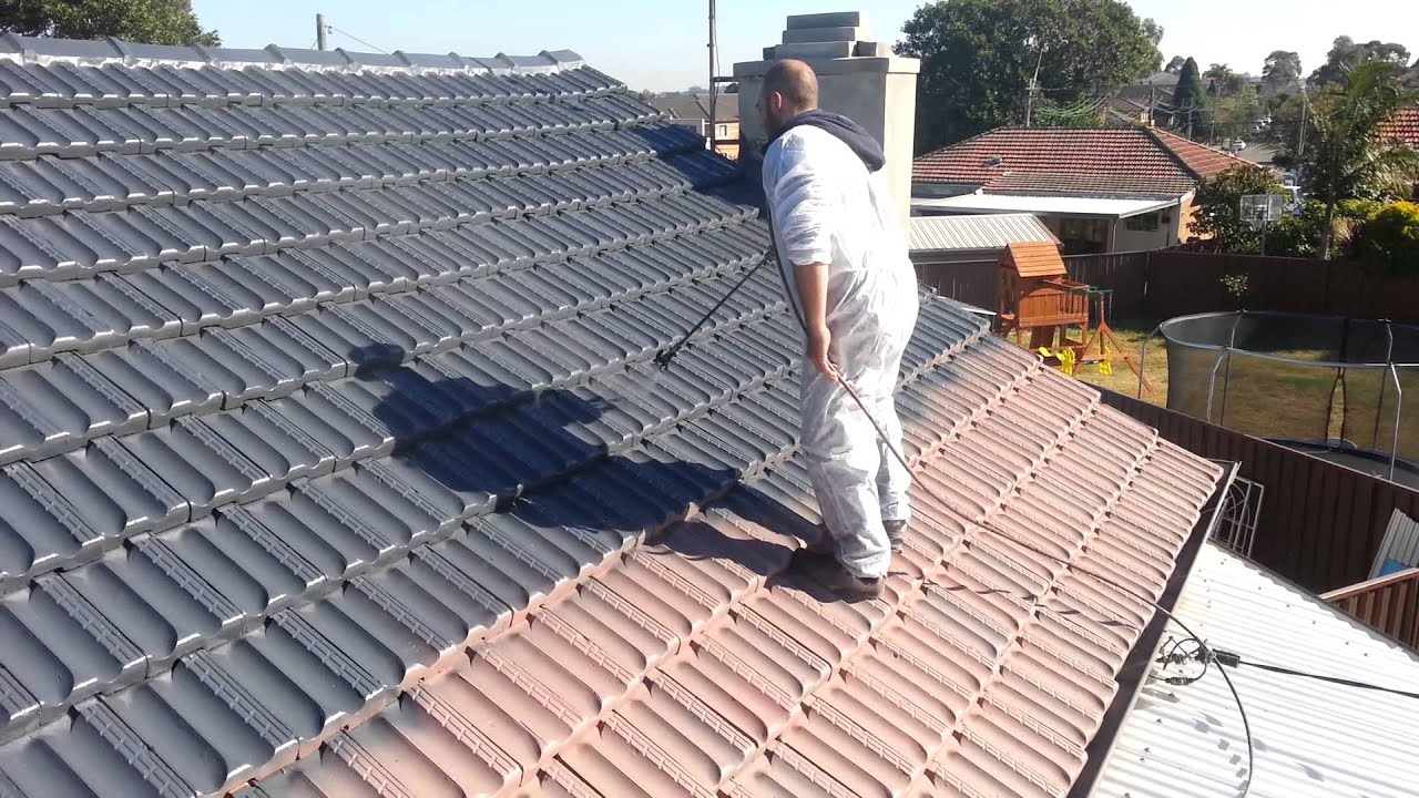 Roof Painting