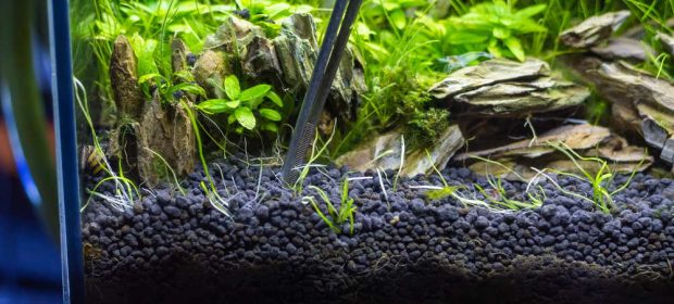 Aquarium Plant Soil