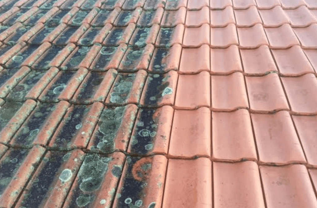 Abbotsford Roof Cleaning