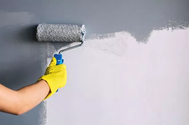 house painting services