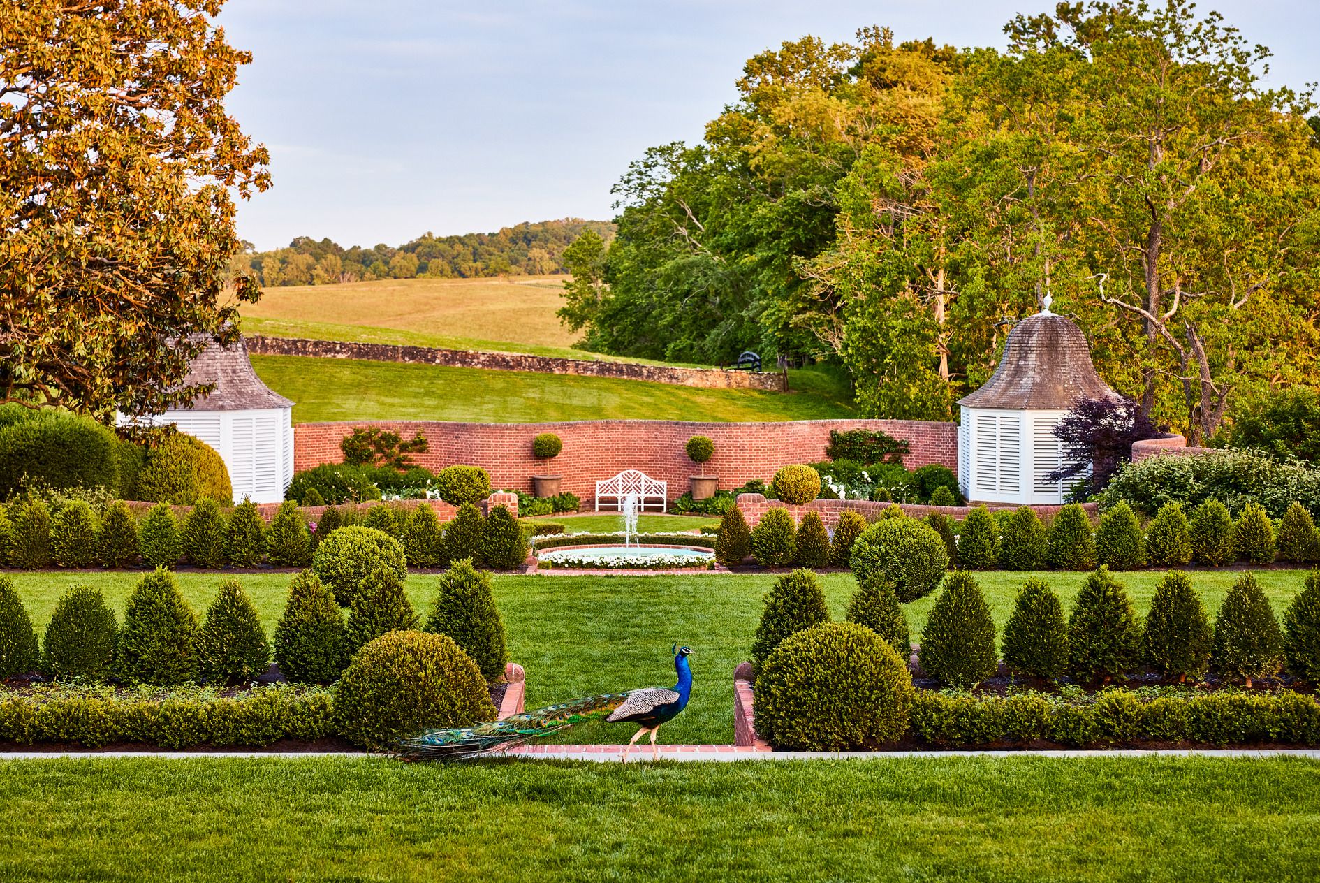 landscapers