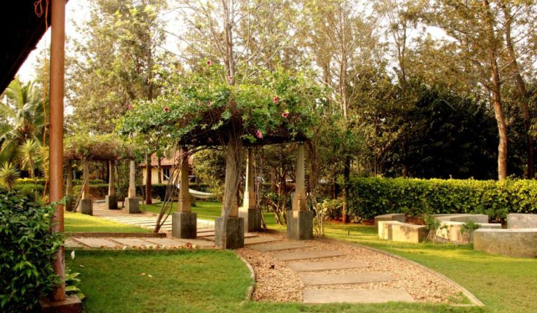 Create Beautiful Patios and Lush Gardens with Expert Landscaping