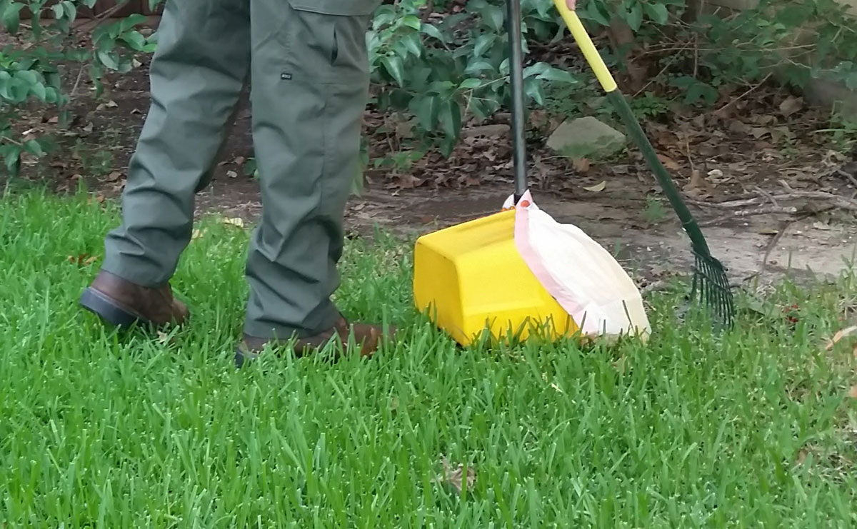 Make sure your yard is free of dog waste all week long